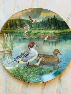 Living With Nature Jerner's Ducks 'The Pintail' Knowles Plate Bart Jerner 1986